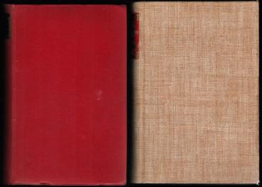 Konvolut - Alja Rachmanowa: 2 Bücher/ Romane. Ehen im roten Sturm / Die Fabrik des neuen Menschen.