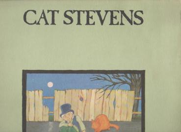 The teaser and the firecat [Vinyl, LP, Album]