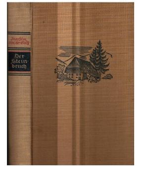 Der Steinbruch. Roman