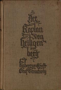 Der Kaplan von Heiligenberg : Roman aus d. Zeit d. Kulturkampfes.