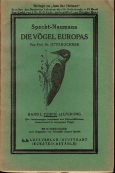 Specht-Naumann - Die Vögel Europas. Band I, fünfte Lieferung (= Beilage zu "Aus der Heimat". Schriften des Deutschen Lehrervereins für Naturkunde/ 43. Band).