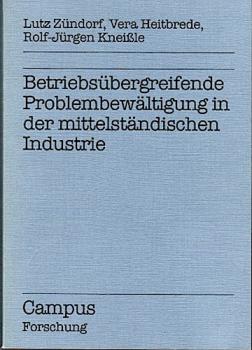 Betriebsübergreifende Problembewältigung in der mittelständischen Industrie. Empirische Studien über kleine und mittelgroße Unternehmen (= Campus Forschung Band 710)
