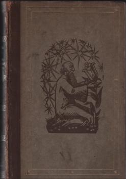 Der Wanderer zwischen Staub und Sternen