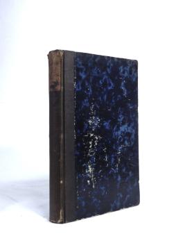 Der Gang der Kirche in Lebensbildern.