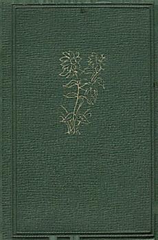 Begegnung mit dem Mädchen