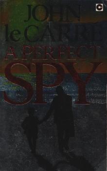 A perfect spy