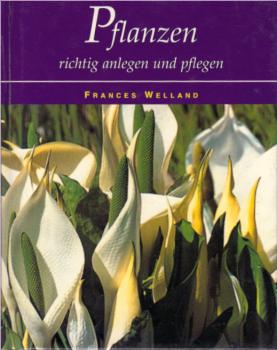 Pflanzen richtig anlegen und pflegen