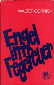 Engel im Fegefeuer : Erzählung / Walter Gorrish