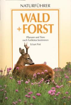 Wald und Forst : Pflanzen und Tiere nach Farbfotos bestimmen / Eckart Pott