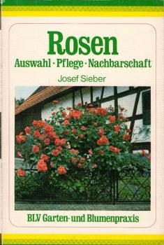 Rosen : Ausw., Pflege, Nachbarschaft / Josef Sieber