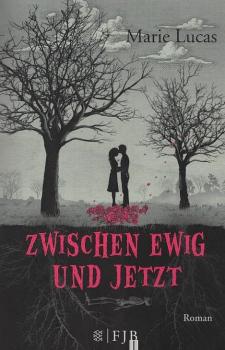 Zwischen Ewig und Jetzt : Roman.