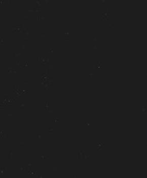 Allwissend : Roman ; [Thriller].