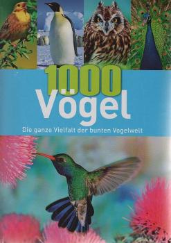 1000 Vögel : Die ganze Vielfalt der bunten Vogelwelt