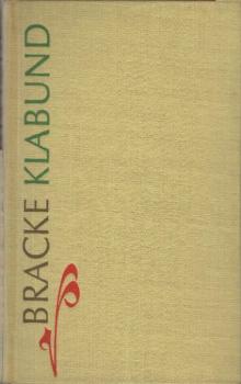 Bracke : Ein Eulenspiegel-Roman.