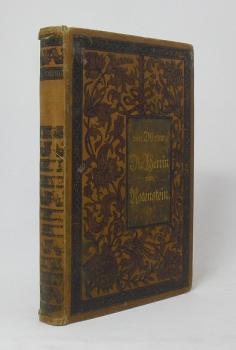 Die Herrin von Rotenstein : Roman.