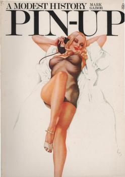 The pin - up : a modest history
