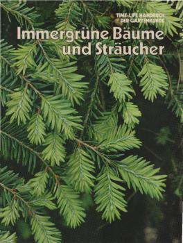 Immergrüne Bäume und Sträucher.