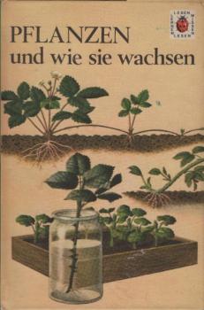 Pflanzen und wie sie wachsen.