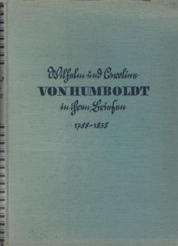 Leuchtende Stunde : Roman über d. Jugend d. Malers Julius Schnorr von Carolsfeld.