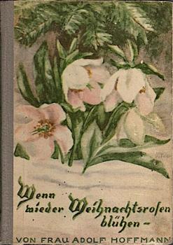 Wenn wieder Weinachtsrosen blühen!