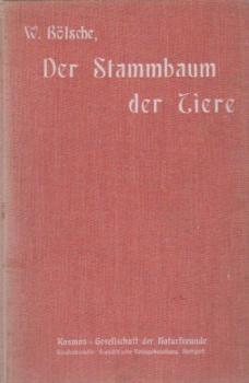 Der Stammbaum der Tiere.