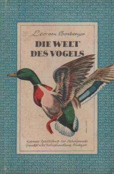 Die Welt des Vogels.