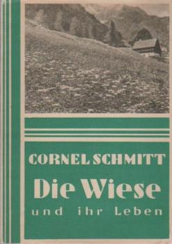Die Wiese und ihr Leben.