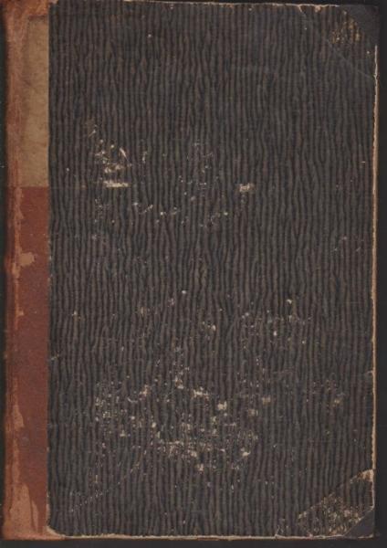 Liebesgeschichten : Novellen. [Teil: 2].