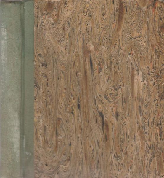 Dolly Peppercon und ihre vier Freier: Ein tragikomischer Roman aus der New Yorker Gesellschaft.