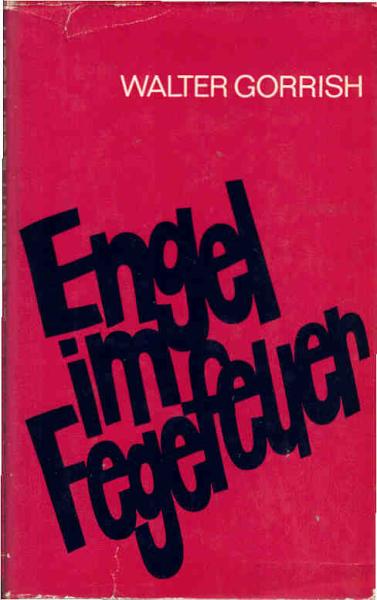 Engel im Fegefeuer : Erzählg.