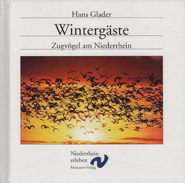 Wintergäste : Zugvögel am Niederrhein.