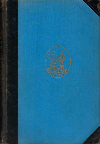 Madame Luzifer : Roman e. Romantikerin.