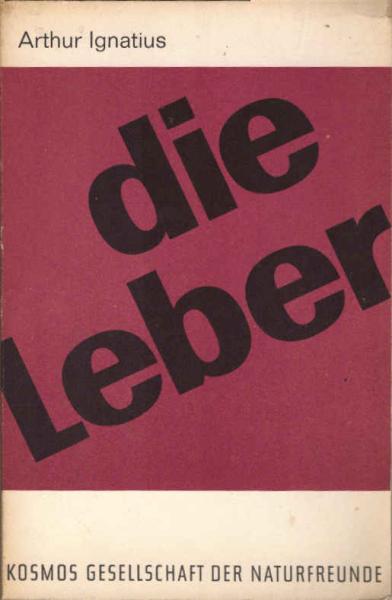 Die Leber.
