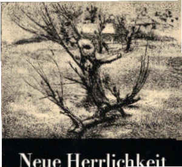 Neue Herrlichkeit : Roman.