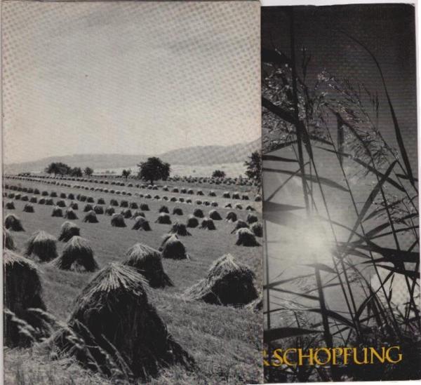 Lob der Schöpfung.