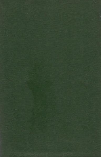 Profile des lateinischen Mittelalters : Geschichtl. Bilder aus d. europ. Geistesleben.