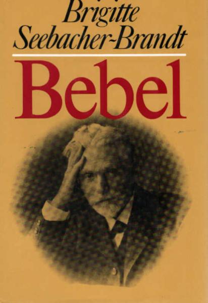 Bebel : Künder u. Kärrner im Kaiserreich.
