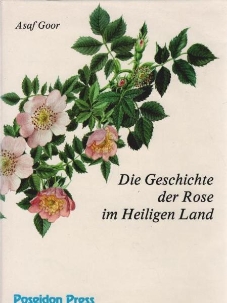 Die Geschichte der Rose im Heiligen Land.