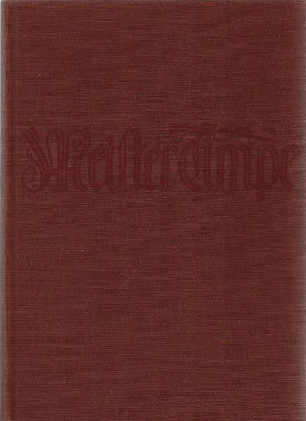 Meister Timpe : Sozialer Roman.
