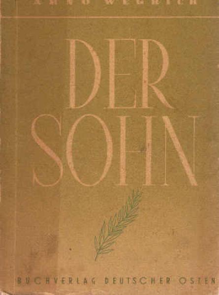 Der Sohn : Erzählung.