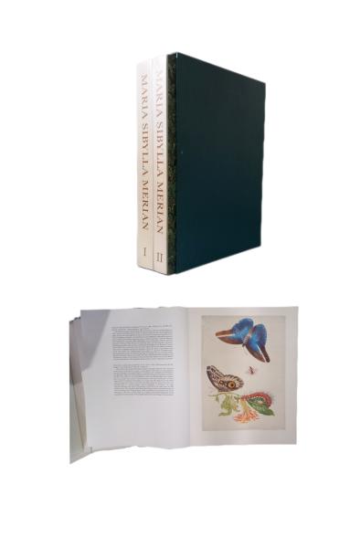 Merian, Maria Sibylla: Leningrader Aquarelle.