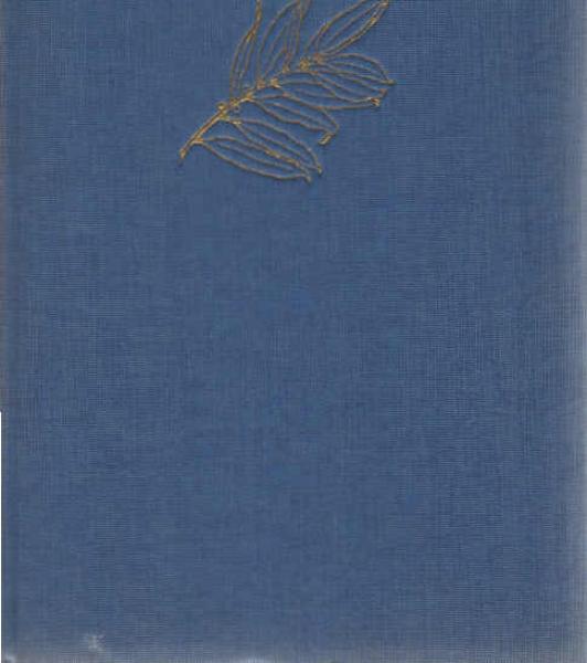 Männer : ein Buch des Stolzes.
