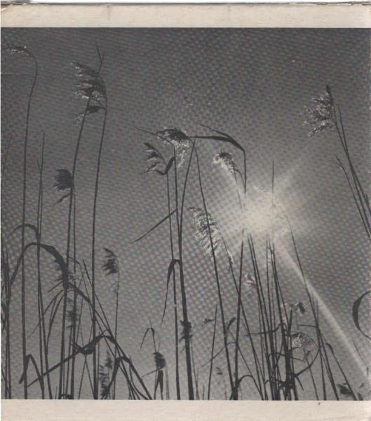 Der Sonnengesang.