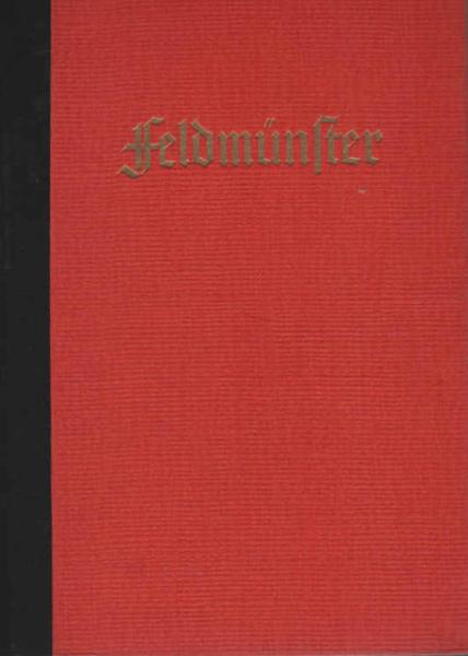 Feldmünster : Roman aus e. Jesuiteninternat.