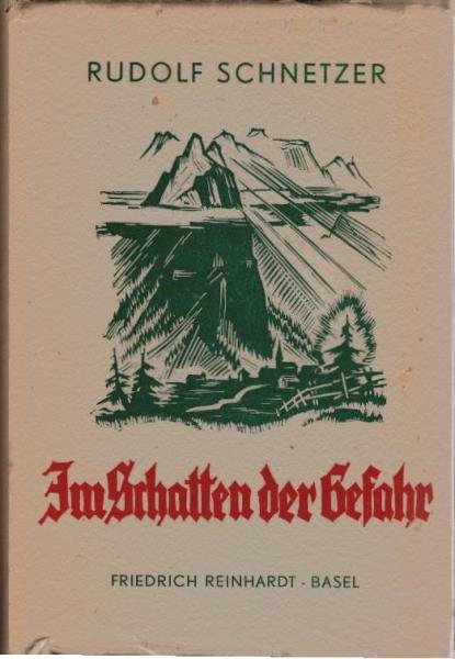 Im Schatten der Gefahr : Ein schweizer. Gebirgsdorfroman.