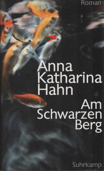 Am Schwarzen Berg : Roman.