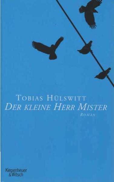 Der kleine Herr Mister : Roman.