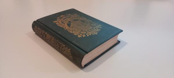 Libussa : Jahrbuch für 1858. 17. Jahrgang.