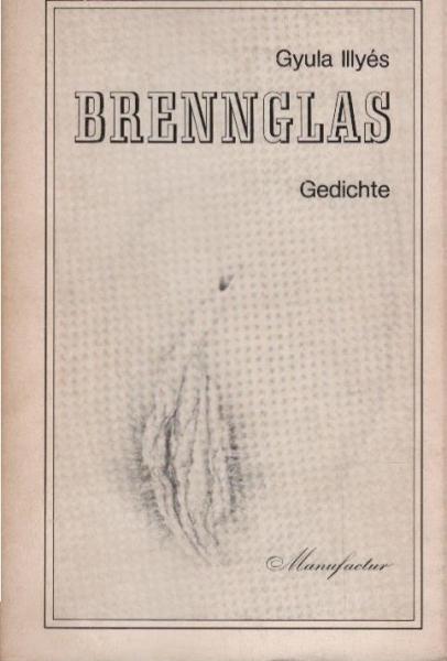 Brennglas : Gedichte.