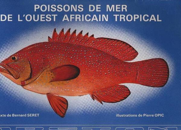 Poissons de mer de l'Ouest Africain tropical.